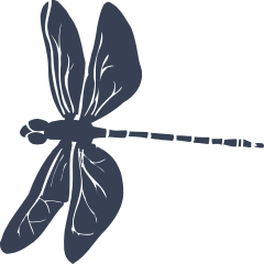 Amazing Dragonfly Sticker