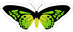 Amazing Green Butterfly Sticker