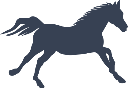 Amazing Horse Running Sticker