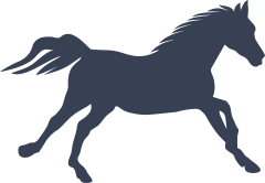 Amazing Horse Running Sticker