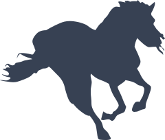 Amazing Horse Sticker