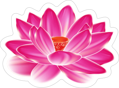 Amazing Pink Lotus Flower Sticker