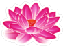 Amazing Pink Lotus Flower Sticker