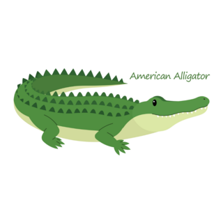 American Alligator Cute Animal Sticker
