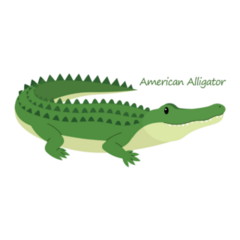 American Alligator Cute Animal Sticker