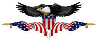 American Eagle Holding USA Flags Sticker