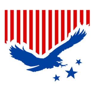 American Eagle with Flag Concept Sticker