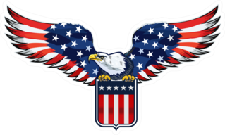 American Eagle With USA Flag Sticker