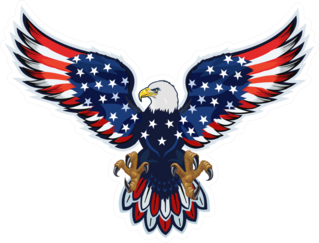 American Eagle With USA Flag Wings Sticker