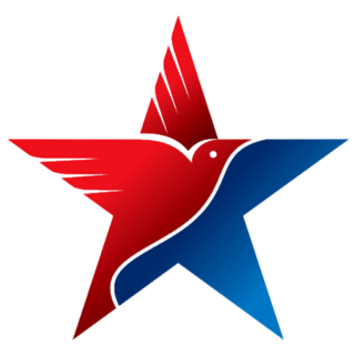 American Flag And Eagle Symbol Sticker