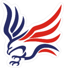 American Flag Flying Eagle Sticker