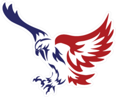 American Patriotic Eagle Special Force Logo Sticker