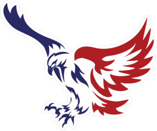 American Patriotic Eagle Special Force Logo Sticker
