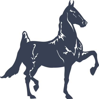 American Saddle Breed Horse Sticker