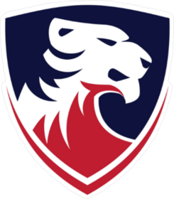 American Tiger Logo Design Sticker