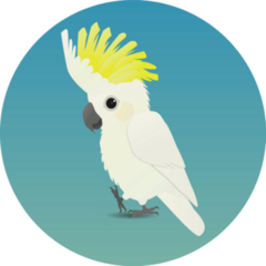 An Illustration Of A Cute Sulphur-crested Cockatoo Sticker