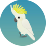 An Illustration Of A Cute Sulphur-crested Cockatoo Sticker
