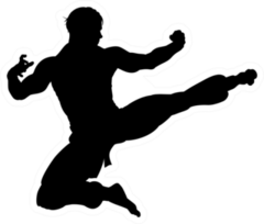 An Illustration Of Karate Or Kung Fu Sticker