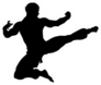 An Illustration Of Karate Or Kung Fu Sticker