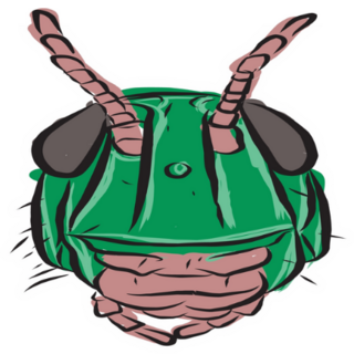 An Image Of A Grasshopper Sticker Bright Sticker 