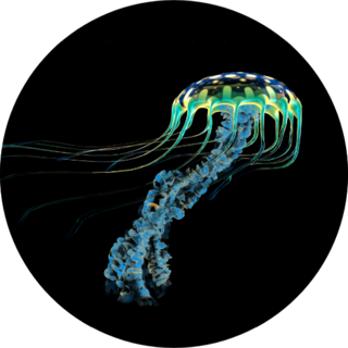 An Iridescent Blue Jellyfish Sticker