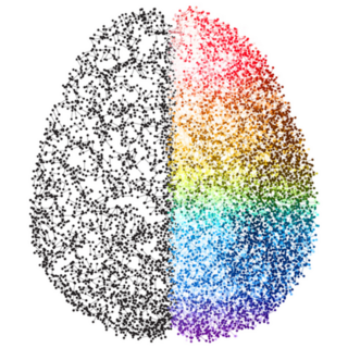 Analytical VS Creativity Molecular Brain Sticker