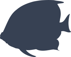 Angel Fish Silhouette Sticker