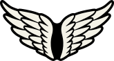 Angel or Bird Wings Sticker