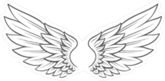 Angel Wings Sketch Sticker