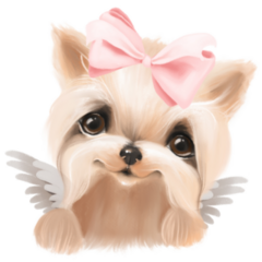 Angel Yorkie Sticker