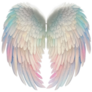Angels Wings Pastel Rainbow Sticker
