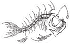 Angler Fish Skeleton Sticker