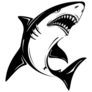 Angry Black and White Shark Sticker