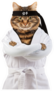 Angry Cat Is Wearing A Kimono Karate Sticker