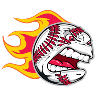 Angry Flaming Screaming Baseball