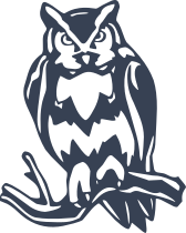 Angry Owl Bird Sticker