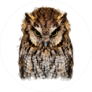 Angry Owl Circle Sticker