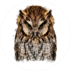 Angry Owl Circle Sticker