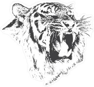 Angry Tiger Growling Sticker