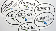 Anima Custom Oval Stickers