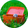 Animal Ferret In A Red Picnic Basket Sticker