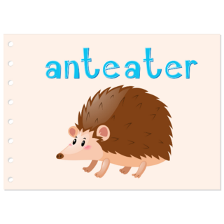 Animal Flashcard Anteater Sticker
