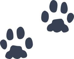 Animal Paw Prints Sticker