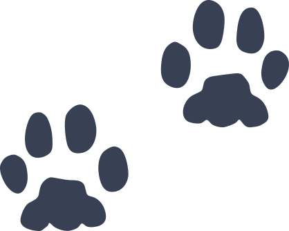 Animal Paw Prints Sticker