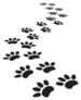 Animal Paw Prints Track Sticker