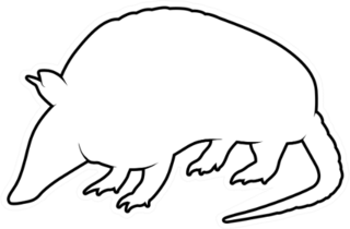 Animal Silhouette Armadillo On White Sticker