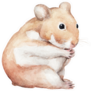 Animal Sketch Cute Little Hamster That Sits Funny Sticker
