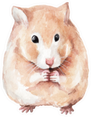 Animal Sketch Cute Little Red Round Hamster Sticker