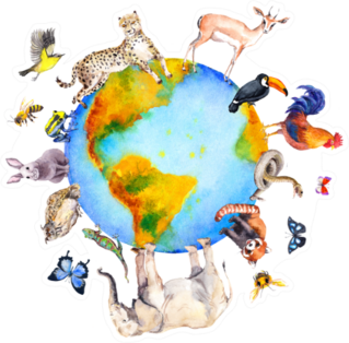 Animals Around And On The World