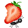 Ant Carrying Strawberry Sliced Sticker